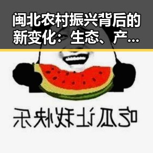 闽北农村振兴背后的新变化：生态、产业与文化的多重奏