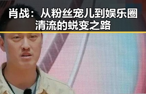 肖战：从粉丝宠儿到娱乐圈清流的蜕变之路