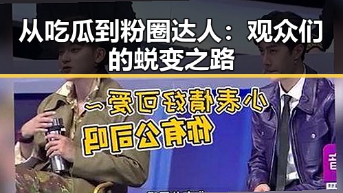 从吃瓜到粉圈达人：观众们的蜕变之路